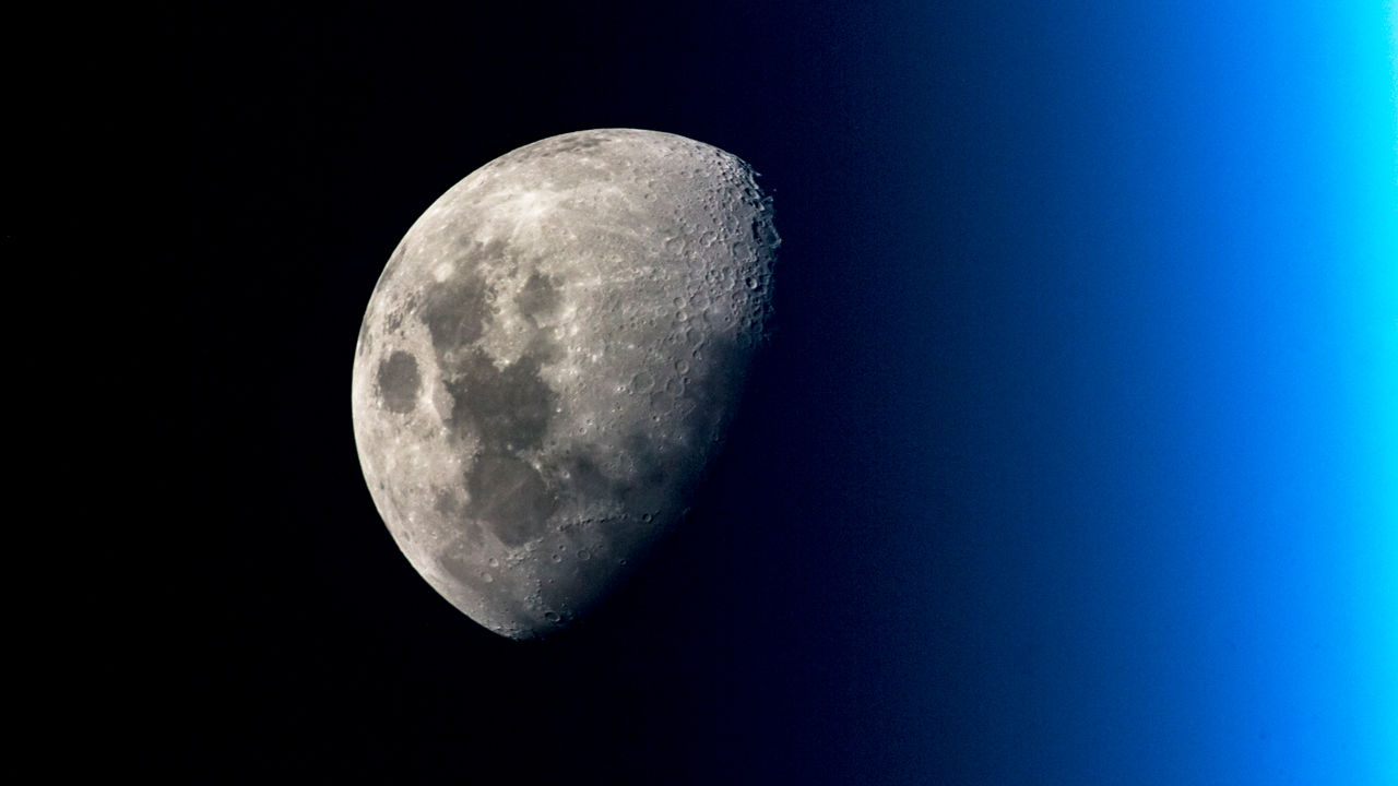 مصدر الصورة Science