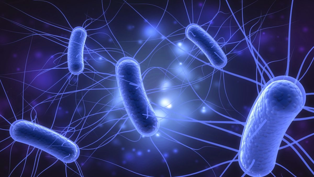 e. coli الصورة نقلا عن Live Science