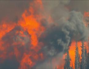 مصدر الصورة:cbc denver