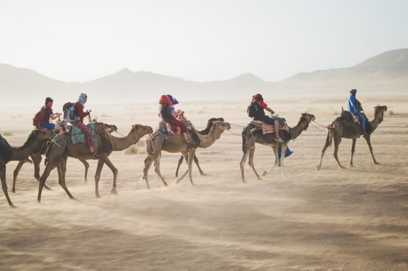 عرب ، صورة لـ Vaida Tamošauskaitė على unsplash عرب ، صورة لـ Vaida Tamošauskaitė على unsplash