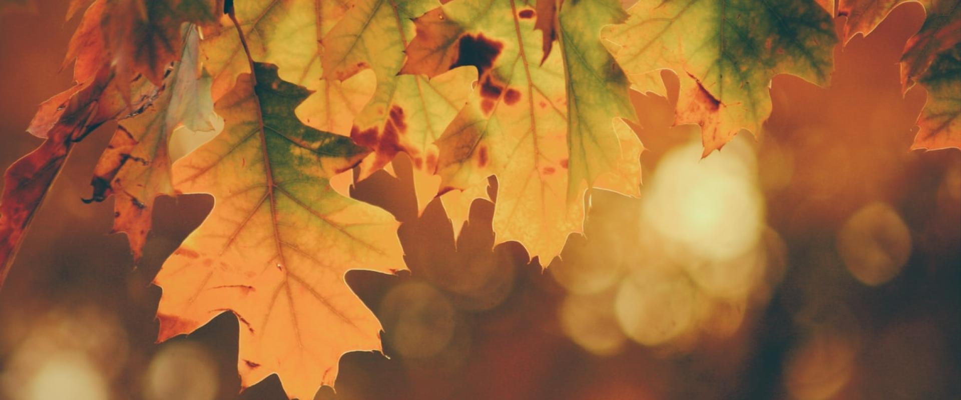 Timothy Eberly تصوير