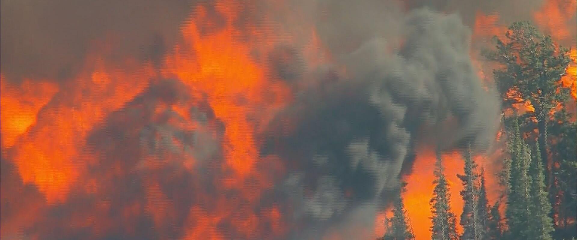 مصدر الصورة:cbc denver