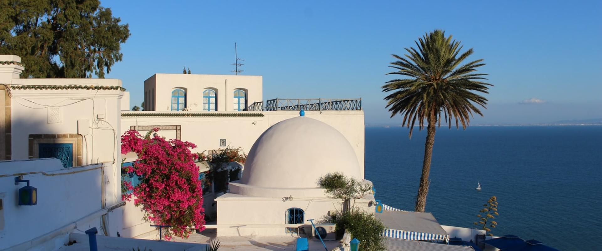 photo by ferdaous fellah on Unsplash