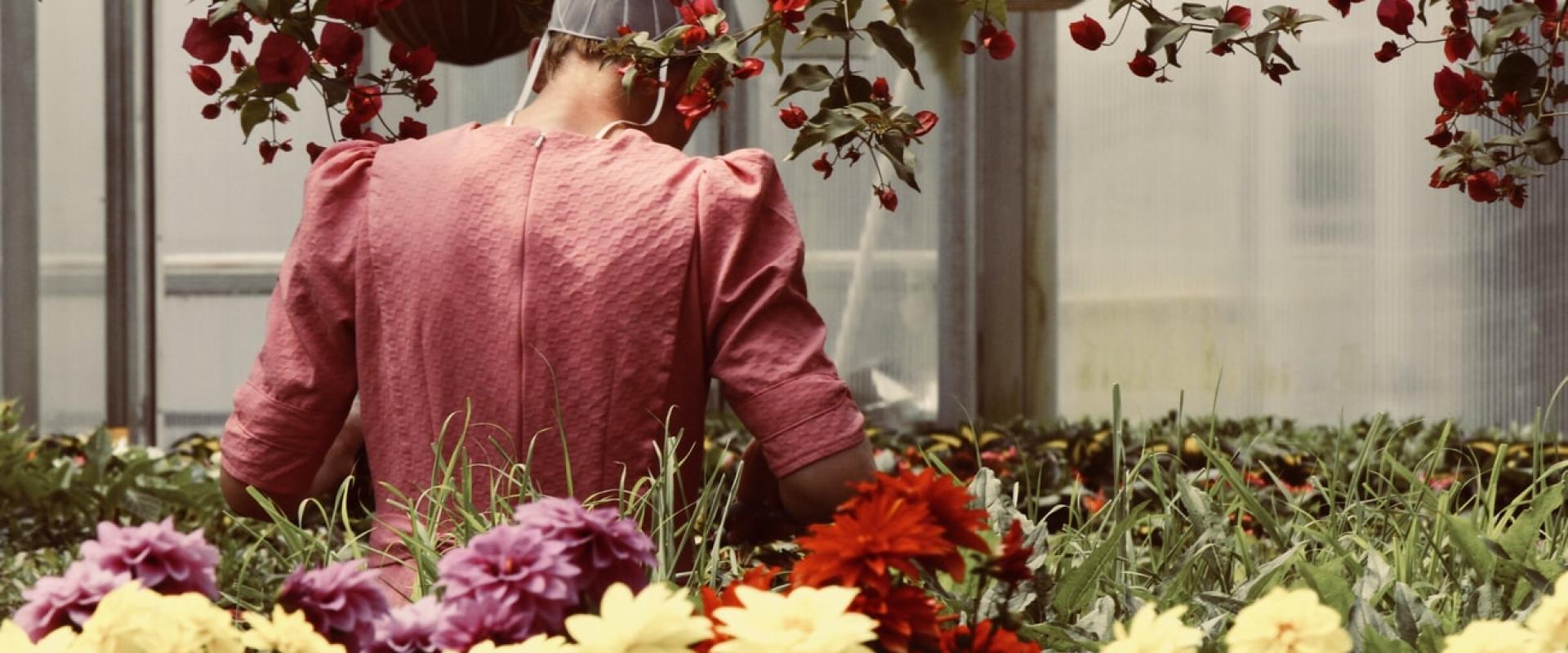 photo by sydney Rae on unsplash