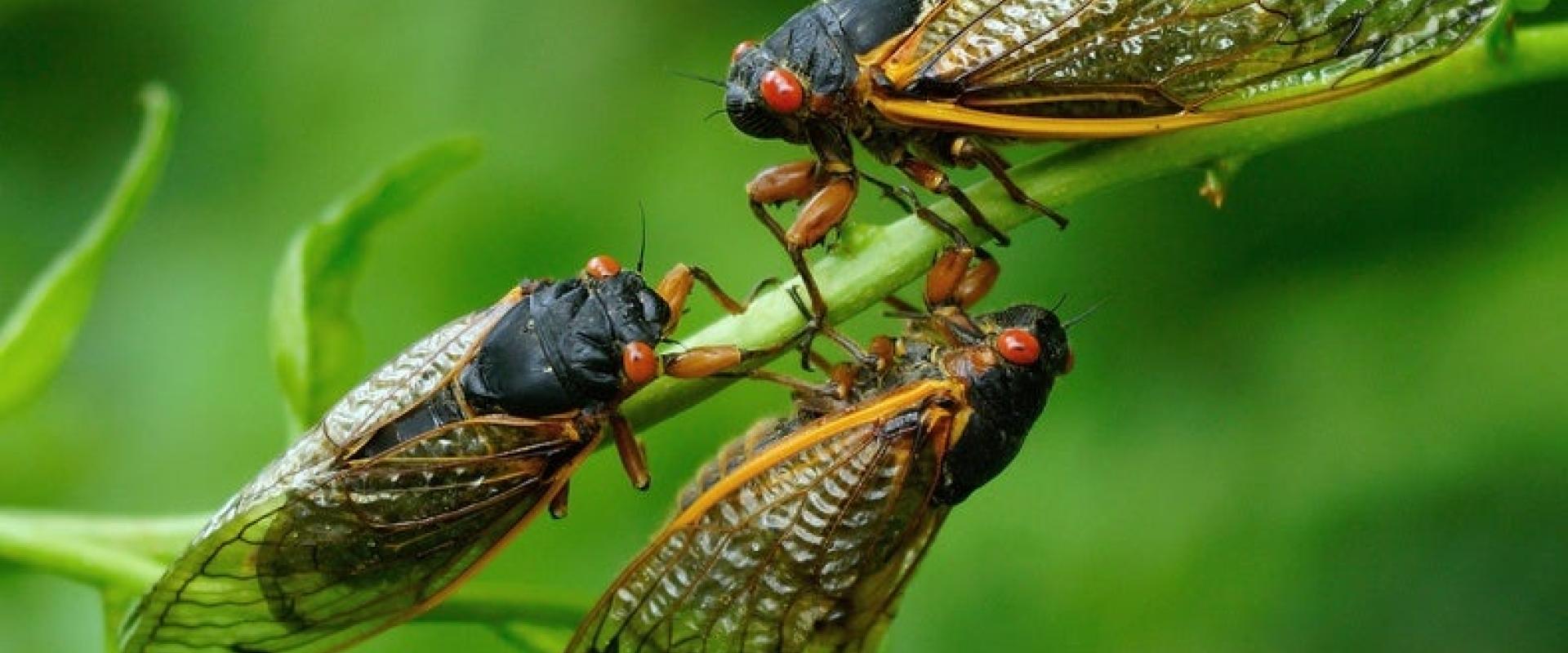 الصورة نقلا عن  scientificamerican، Credit: Alamy