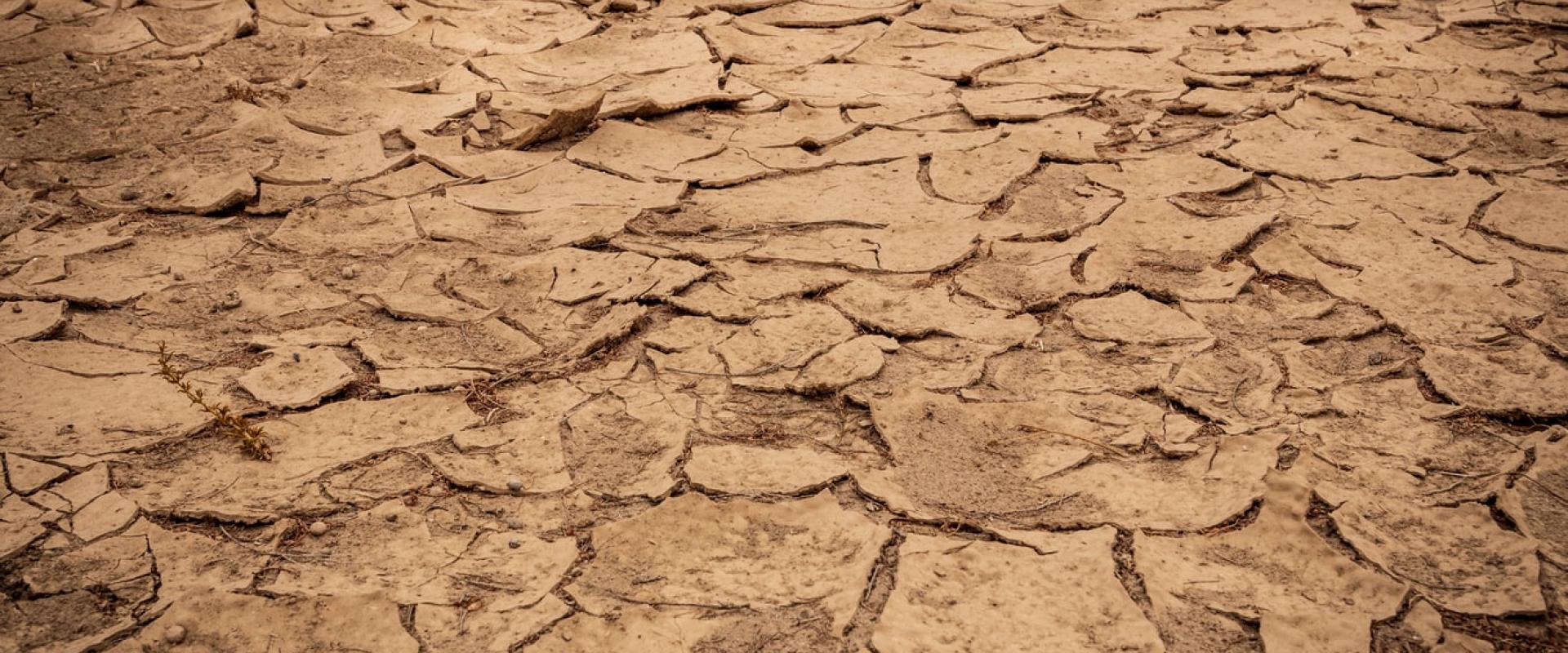 جفاف photo by: Grant Durr on unsplash