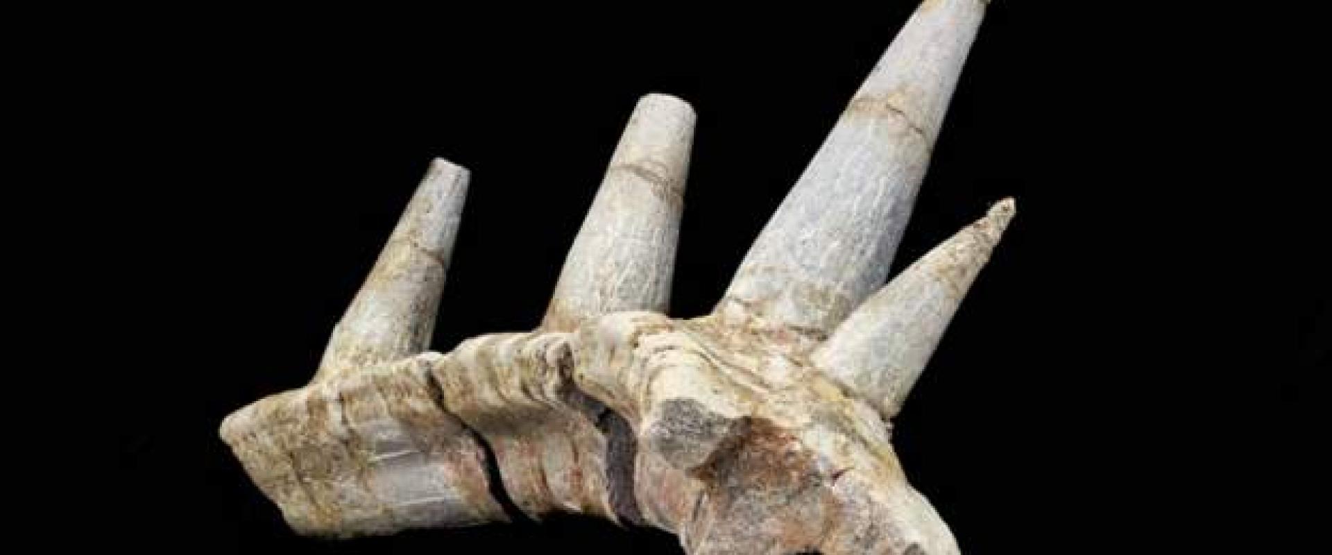 الصورة نقلا عن AP