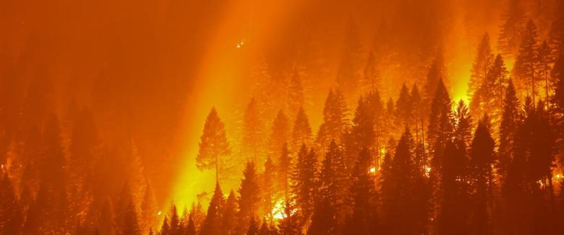 حريق ديكسي في كاليفورنيا نقلا عن رويترز