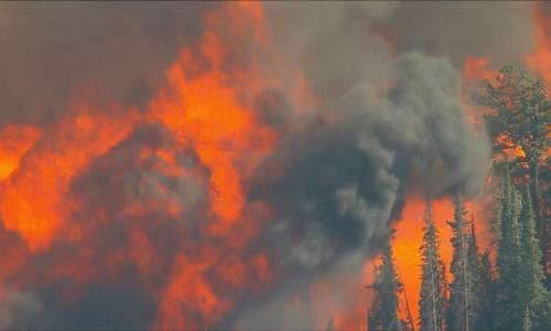 مصدر الصورة:cbc denver مصدر الصورة:cbc denver