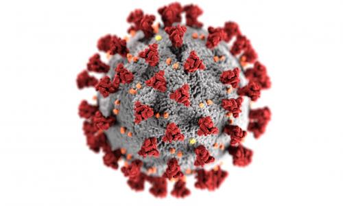 صورة حقيقية لشكل فيروس كورونا من CDC صورة حقيقية لشكل فيروس كورونا من CDC