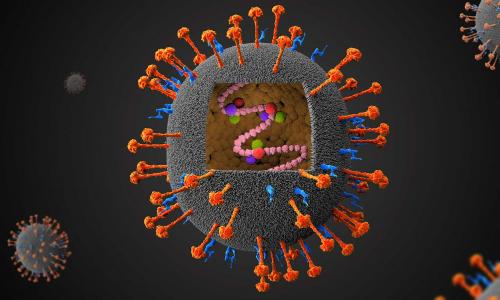 فيروس نيباه ، Nipah Virus ، الصورة نقلا عن Gavi فيروس نيباه ، Nipah Virus ، الصورة نقلا عن Gavi