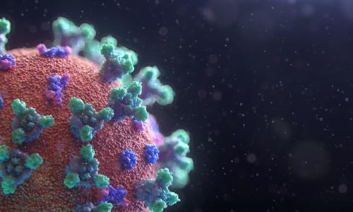 فيروس كورونا ، صورة Fusion Medical Animation من موقع Unsplash فيروس كورونا ، صورة Fusion Medical Animation من موقع Unsplash