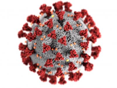 صورة حقيقية لشكل فيروس كورونا من CDC