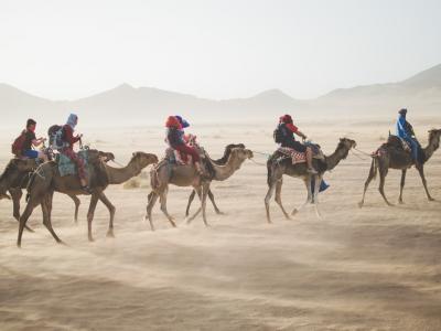 عرب ، صورة لـ Vaida Tamošauskaitė على unsplash